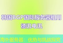 海外服务器:优势与挑战探究-越南服务器