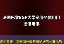 多少重要 - 探索海外服务器论坛的关键优势-越南服务器