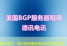 德讯电讯:海外服务器选择的优质排名伙伴-越南服务器