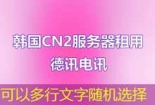 提升网络访问速度和稳定性的路由器DNS设置操作详解-越南服务器