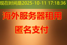 动态域名到底适用于哪里?-越南服务器