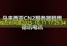高效的网站建设公司：德讯电讯-越南服务器