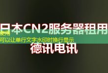 德讯电讯:网站建设行业的领先者,以专业团队和技术领先著称-越南服务器