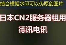 RakSmart如何确保服务器安全性?-越南服务器